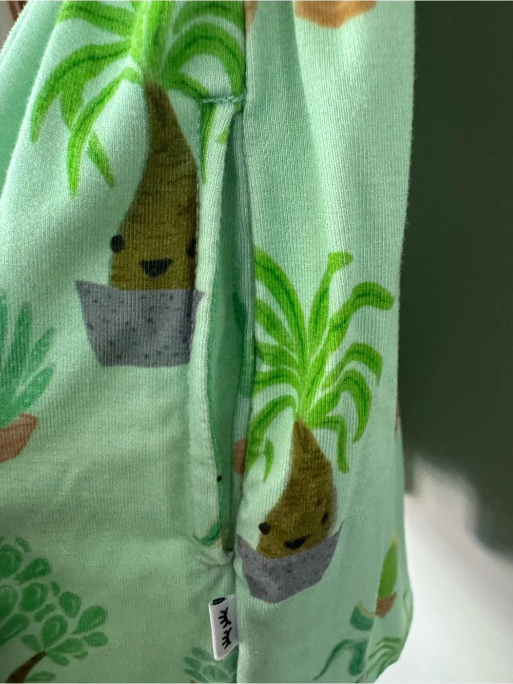 Little Sleepies Cactus dress with pockets - 2T